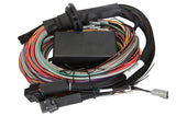 Haltech Elite 1500 Basic/Premium Universal Wire-in Harness