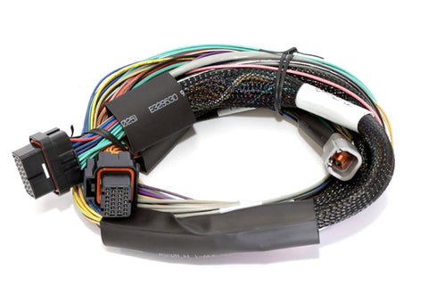 Haltech Elite 2500 & 2500 T Basic/Premium Universal Wire-in Harness