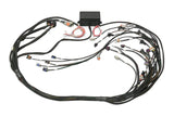 Haltech Elite 2000/2500 GM GEN III LS1 & LS6 non DBW Terminated Harness