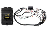 Haltech Elite 2500 + GM GEN III LS1 & LS6 Terminated Harness Kit