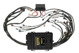 Haltech Elite 2500 + GM GEN III LS1 & LS6 Terminated Harness Kit