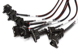 Haltech Elite 2500 + GM GEN III LS1 & LS6 Terminated Harness Kit